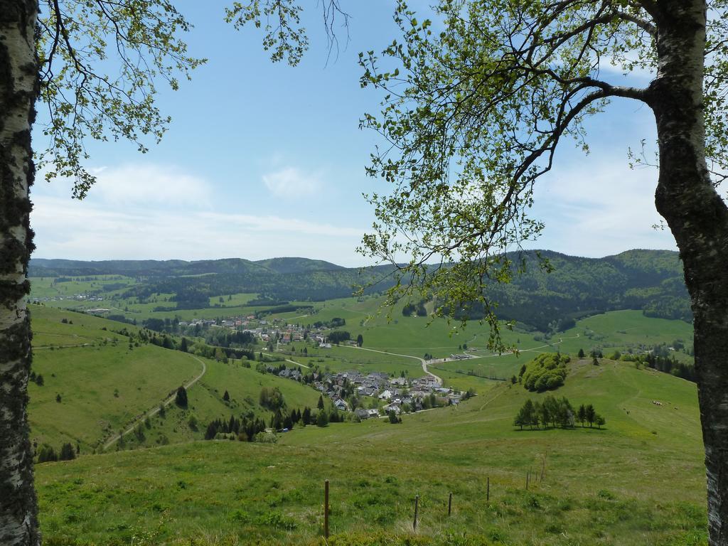Wohnpark Schwarzwaldblick Bernau Lejlighed Eksteriør billede